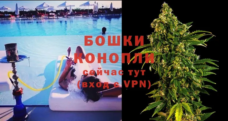 где найти наркотики  Междуреченск  Бошки Шишки SATIVA & INDICA 